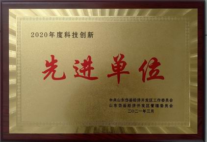 2020年度纳税先进单位.jpg