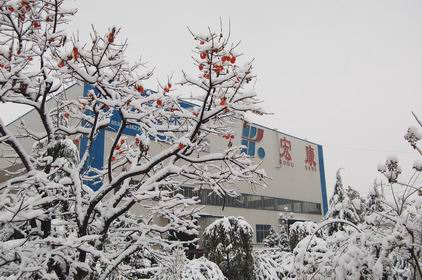 山东公海jcjc机床:雪景一角.jpg 山东公海jcjc机床:雪景一角.jpg